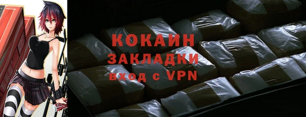 шишки Сосновка