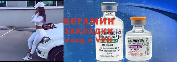 прущие грибы Балахна