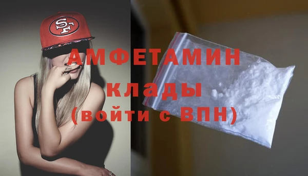 прущие грибы Балахна