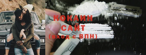 прущие грибы Балахна