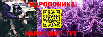 бутират Кингисепп