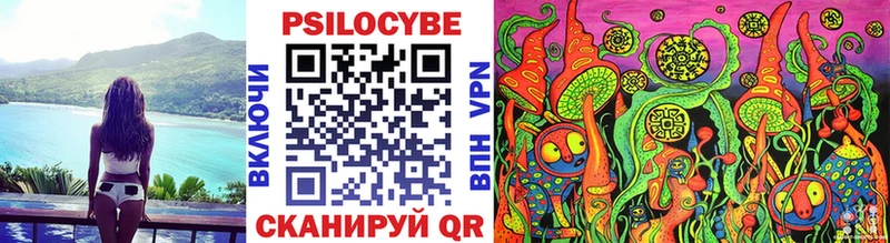 цены наркотик  Нерюнгри  Псилоцибиновые грибы Magic Shrooms 