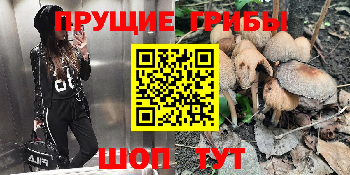 сколько стоит  Вход с VPN  Нерюнгри  Галлюциногенные грибы мицелий 